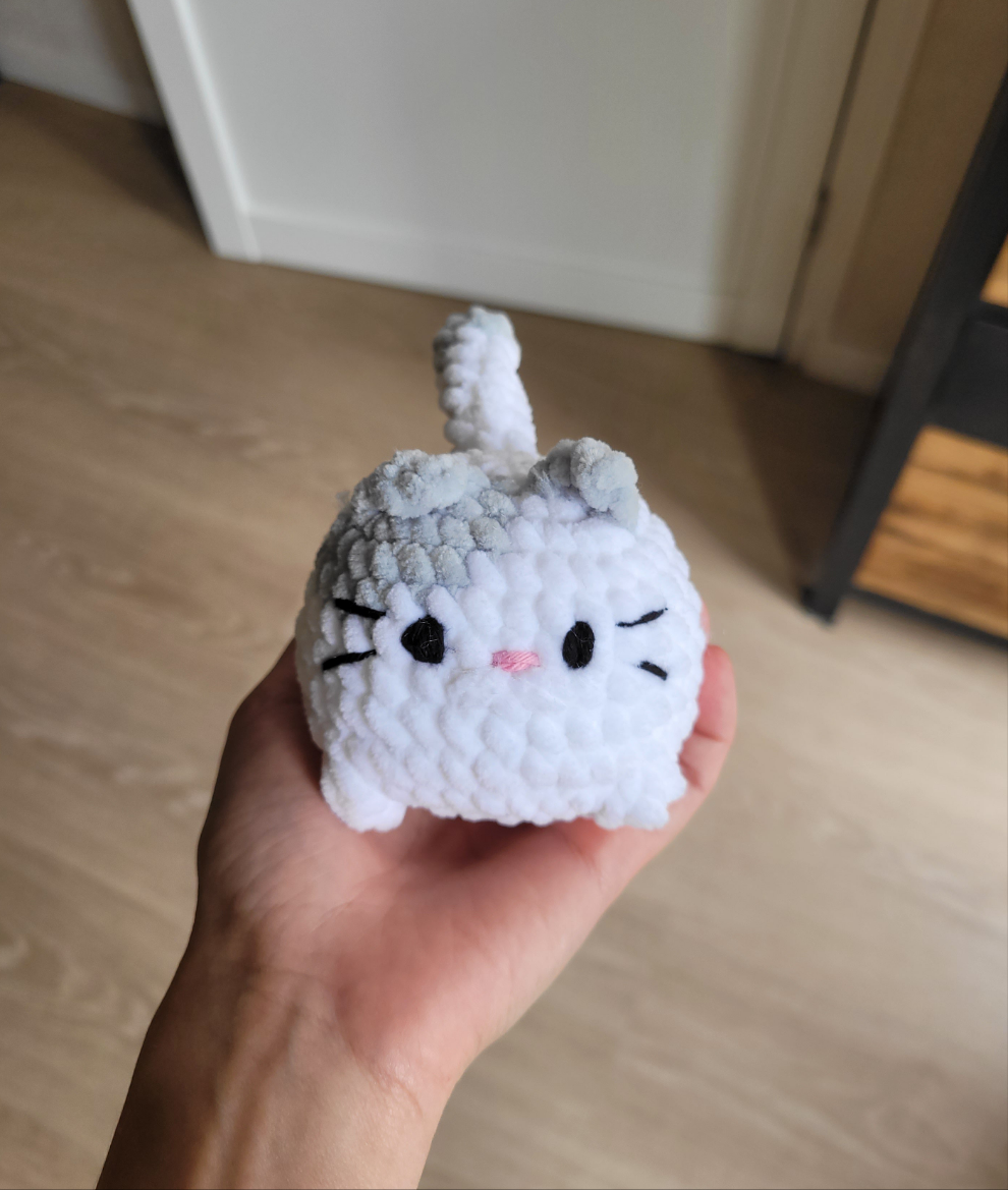Petit chat