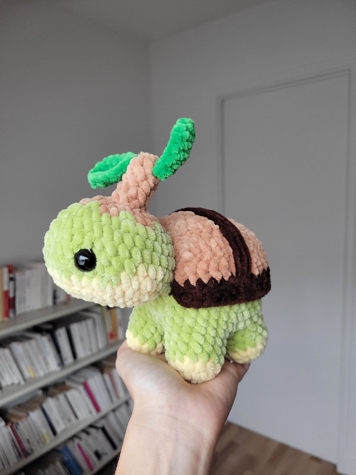 Tortipouss