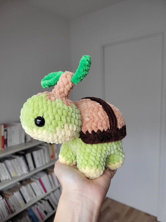 Tortipouss