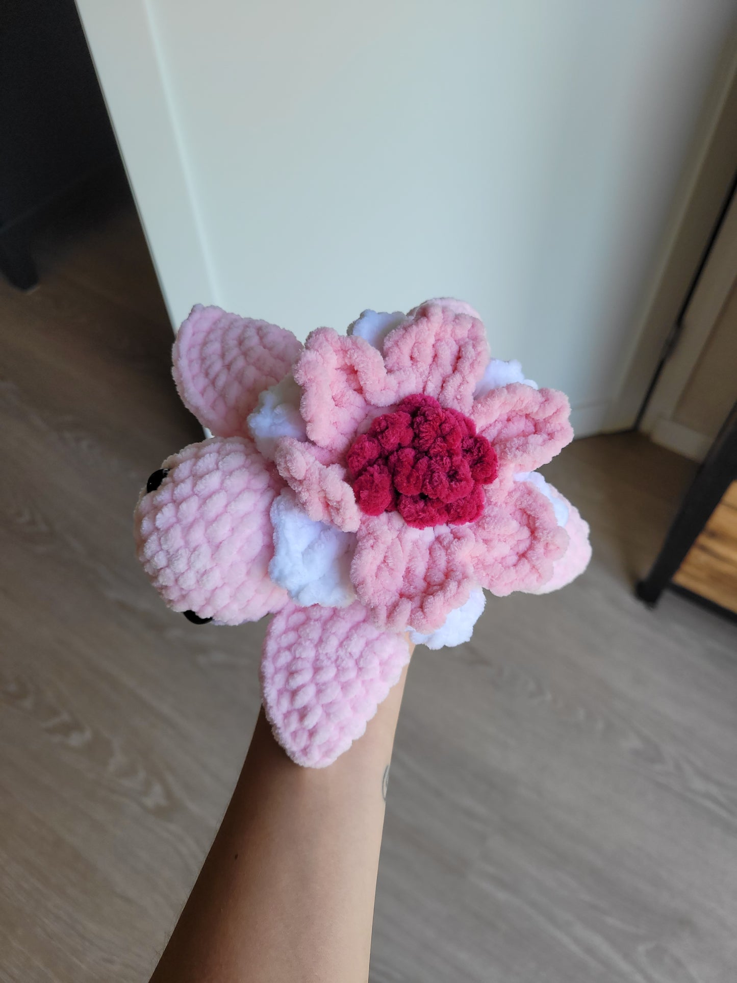 Tortue Sakura