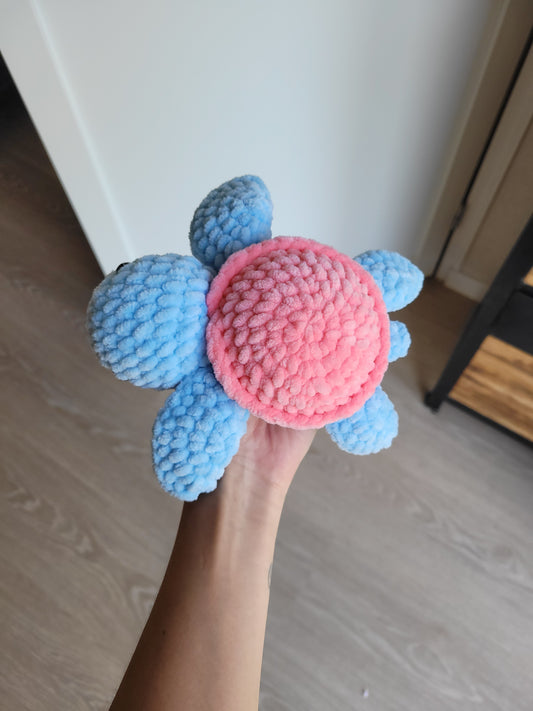 Petite tortue