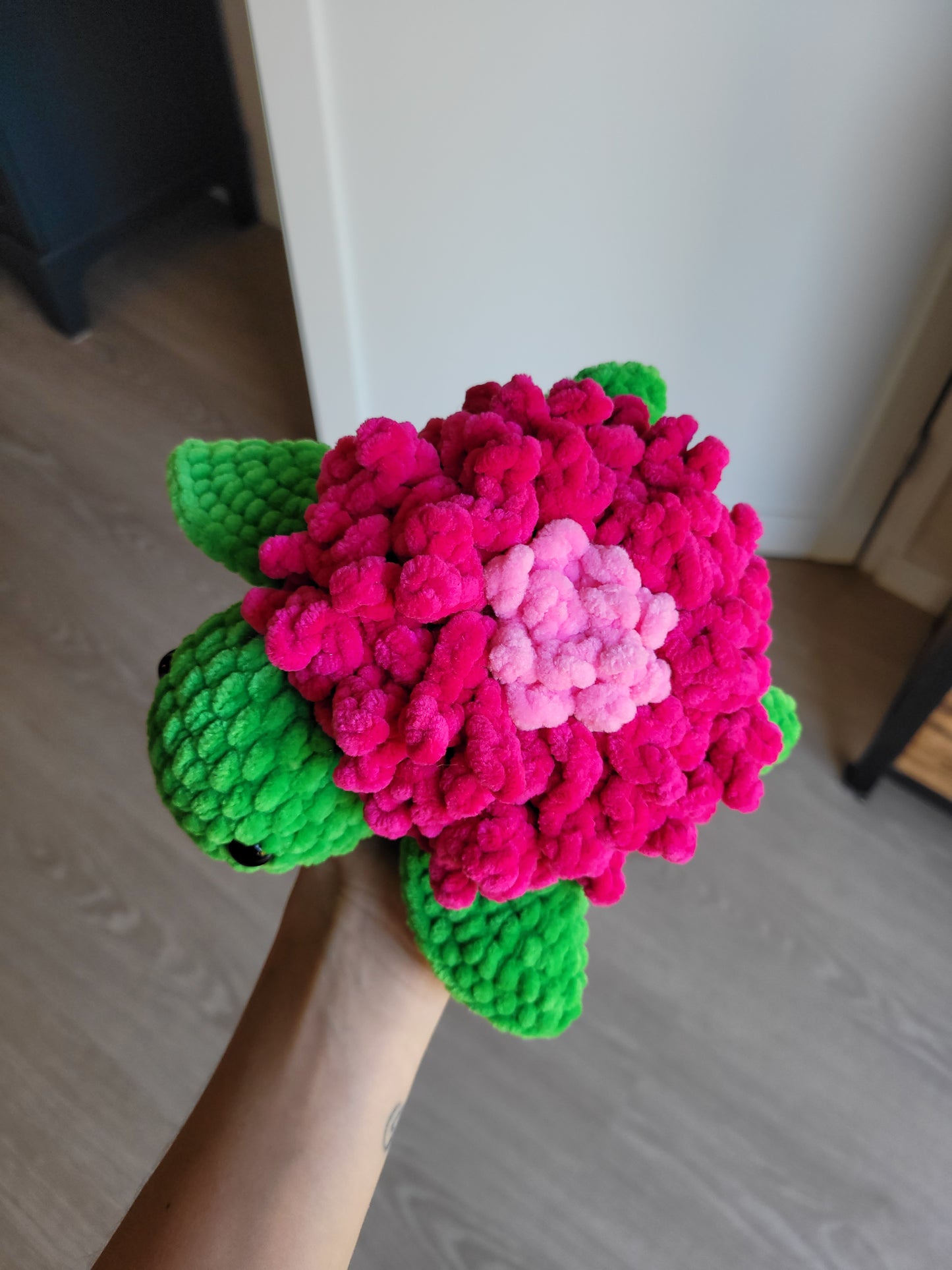 Tortue Dahlia