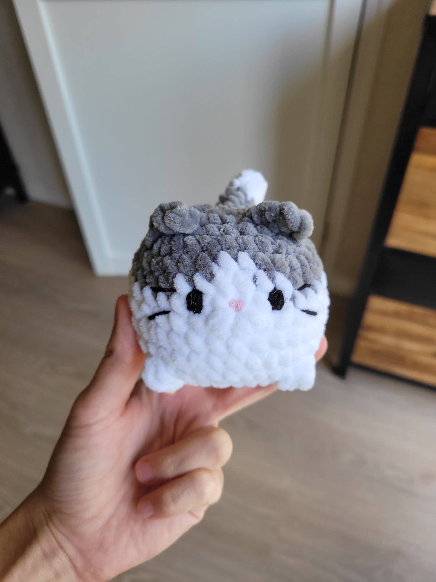 Petit chat