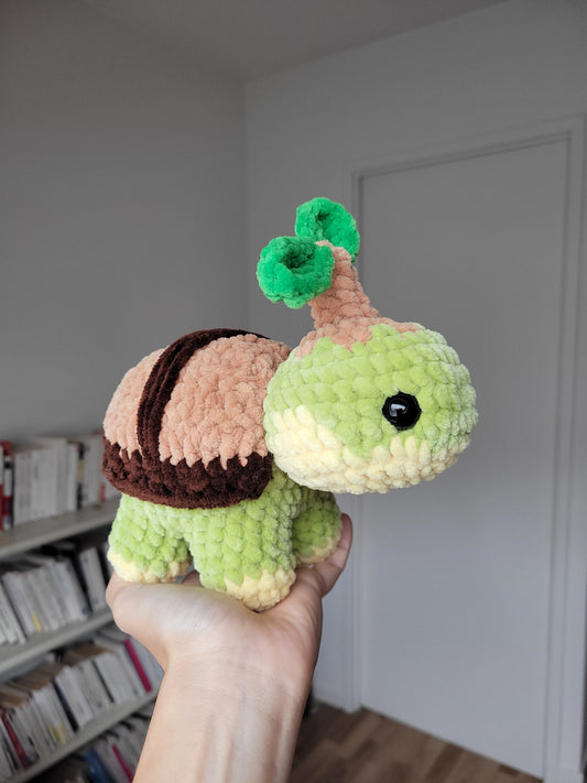 Tortipouss