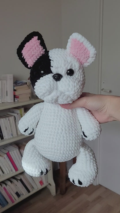 Commande Bouledogue + Luma