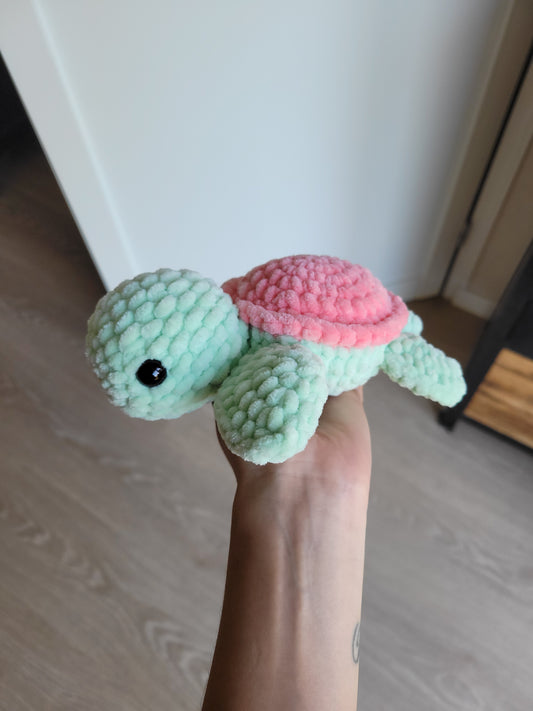 Petite tortue