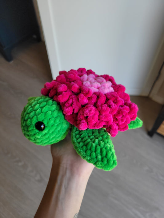 Tortue Dahlia
