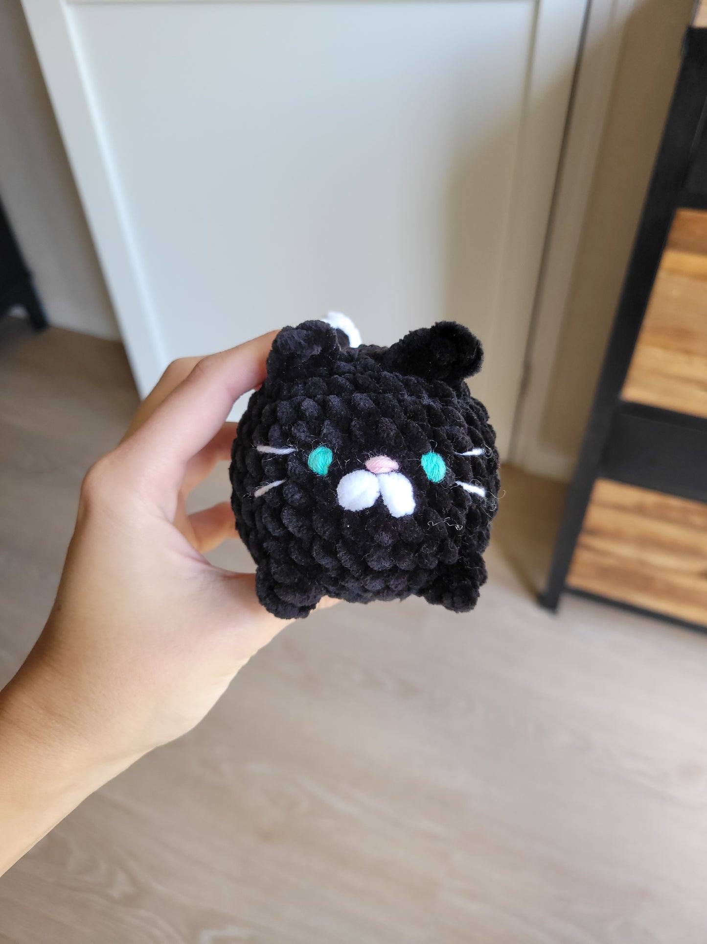 Petit chat