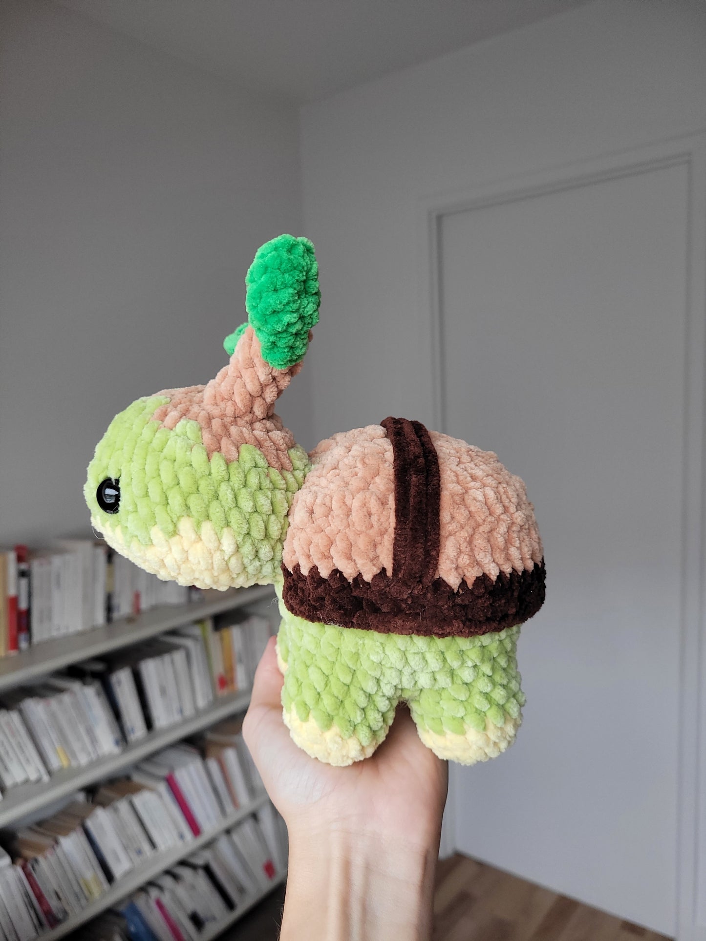 Tortipouss