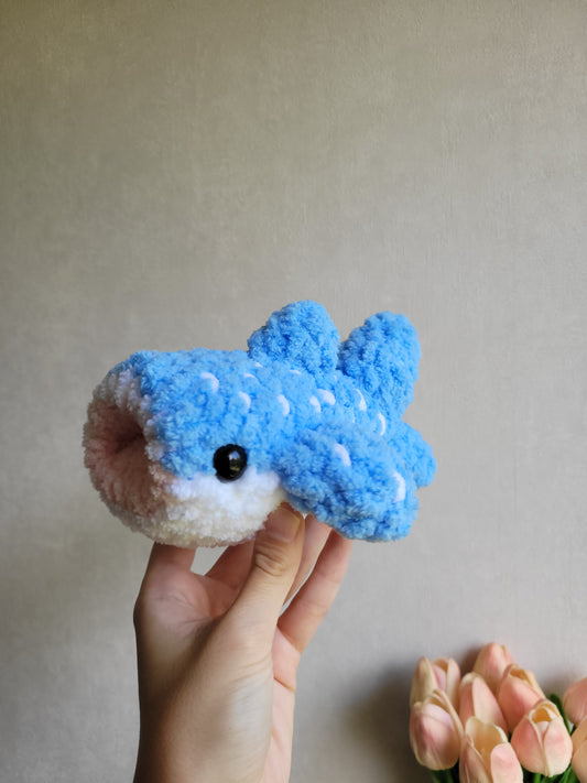 Requin baleine